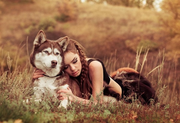 Huấn luyện và tương tác với husky