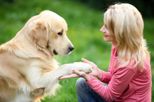 Củng cố và duy trì kỹ năng bắt tay